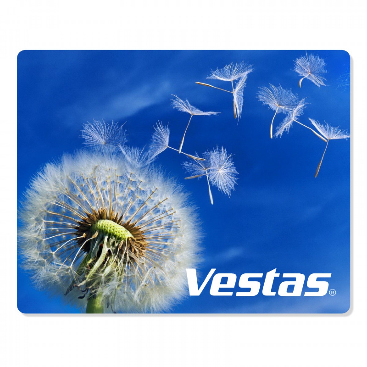 Musmatta Rektangulär standard